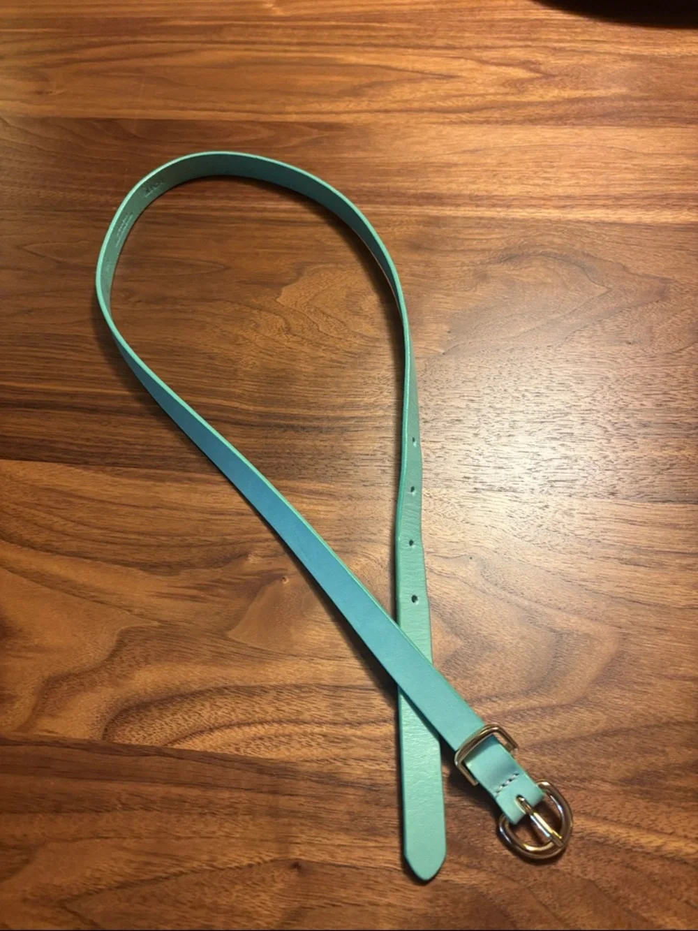 J. Crew Turqoise Skinny Leather Belt with Gold-Tone Buckle - XS - Picture 3 of 7